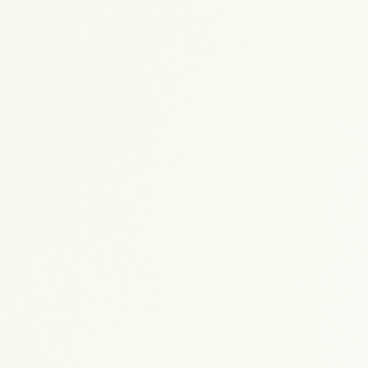 Melamine wit 12mm 025 TST 250 x 125cm
