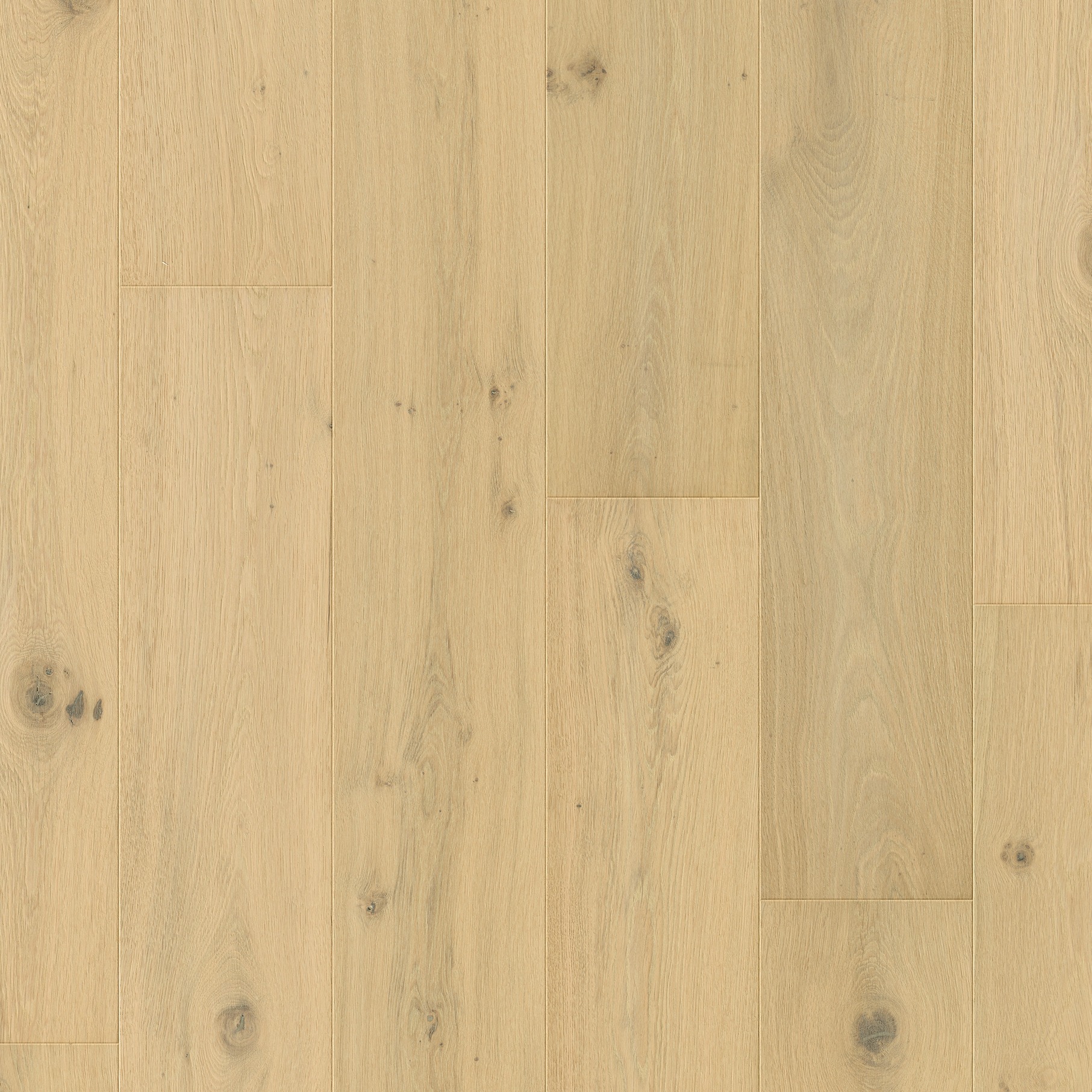 Quick-Step Parquet Cala CAL7448 Chêne blanc perle extra mat 220x2200x13mm