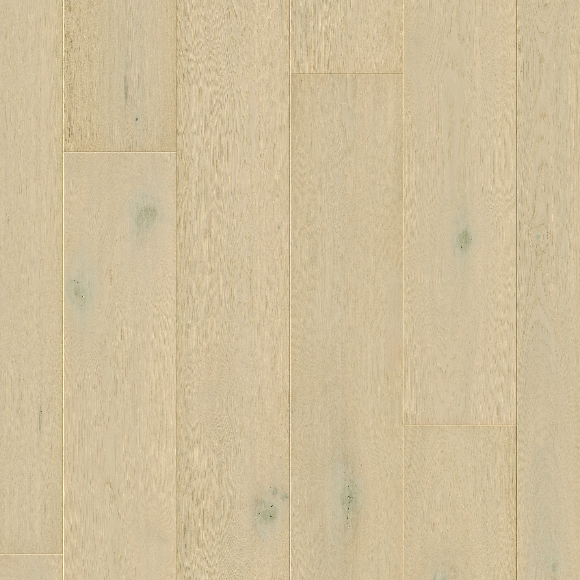 Quick-Step Parket Cala CAL7445 Winterwoud eik extra mat 220x2200x13mm