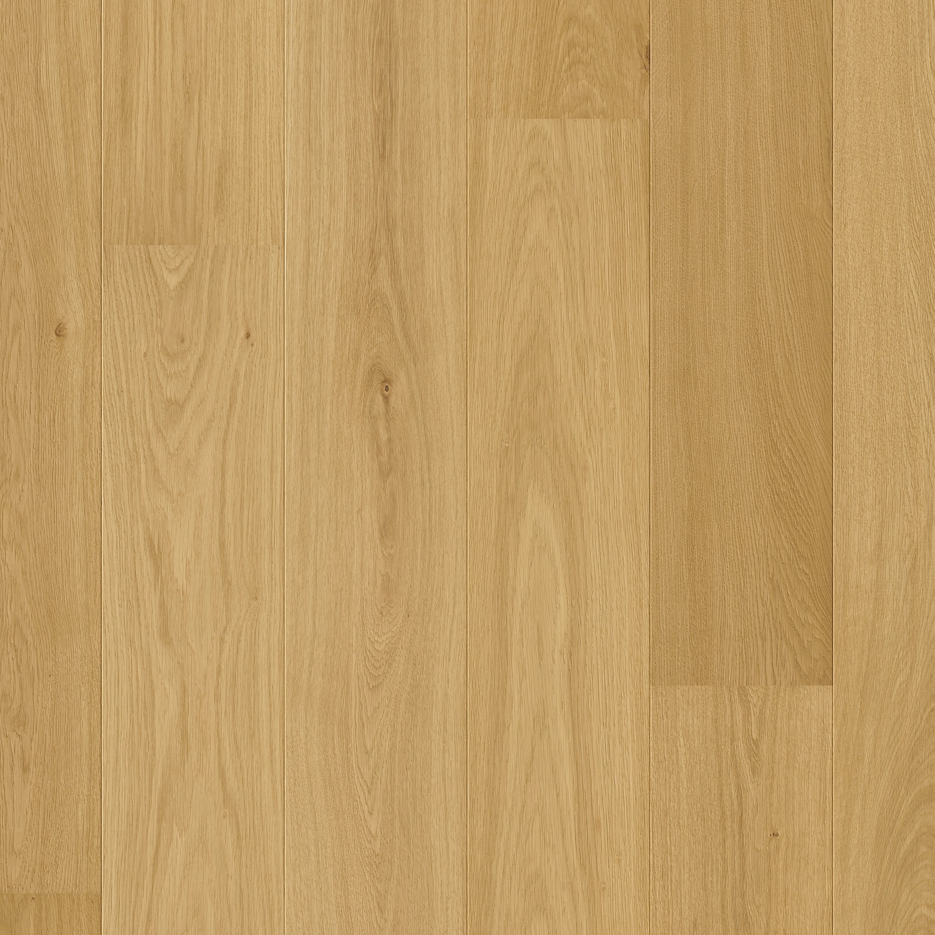 Quick-Step Parket Cala CAL6029 Leder eik extra mat 220x2200x13mm