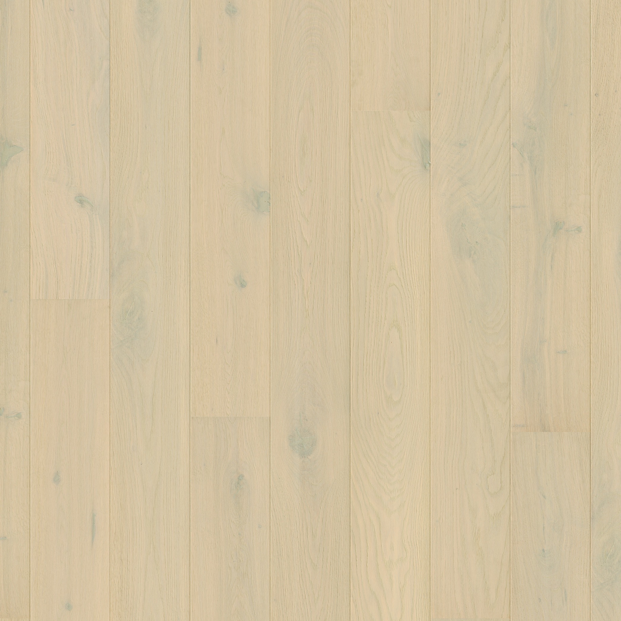 Quick-Step Parquet Amato AMT3854 Chêne forêt hivernale extra mat 145x1820x13mm