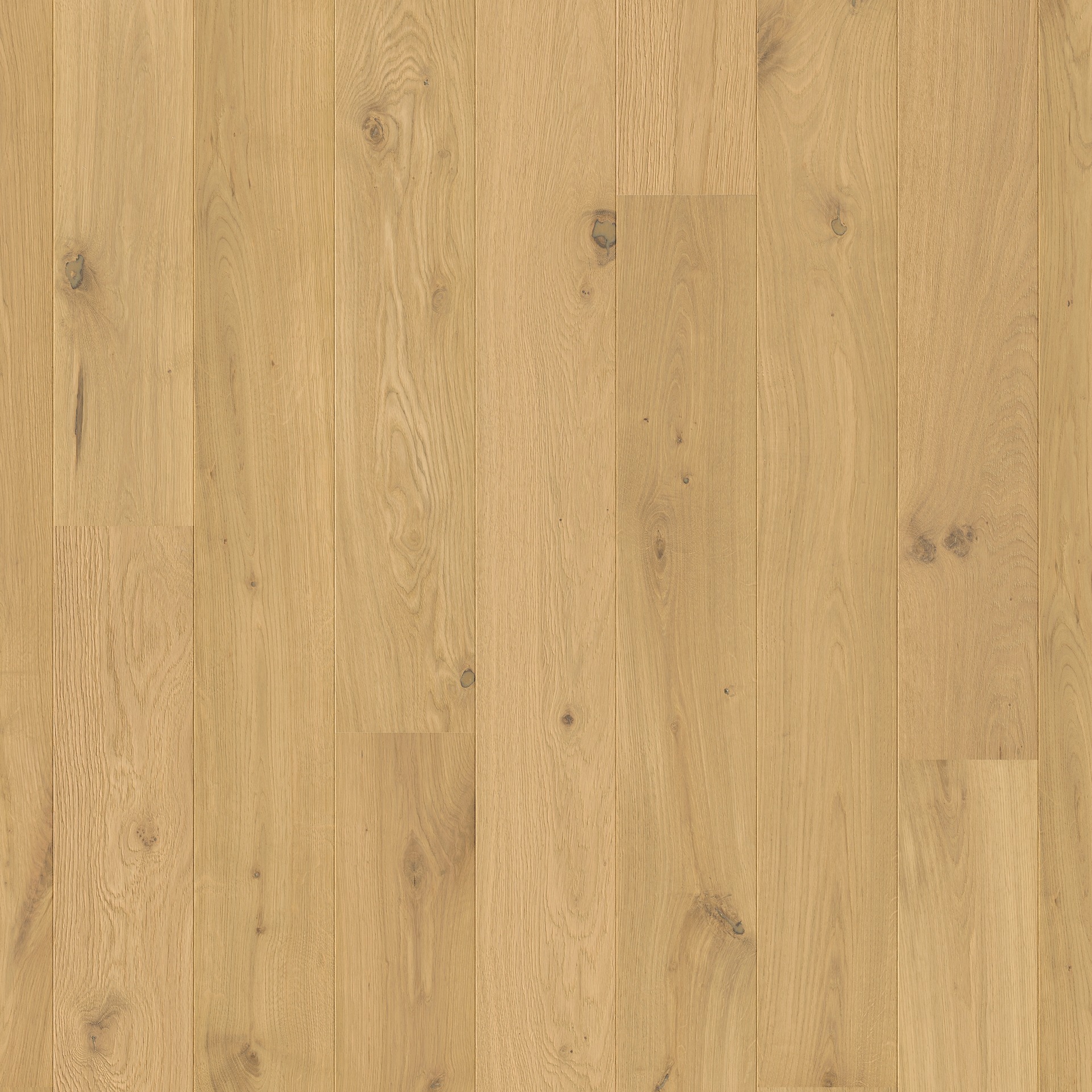 Quick-Step Parquet Amato AMT3100 Chêne pur extra mat 145x1820x13mm