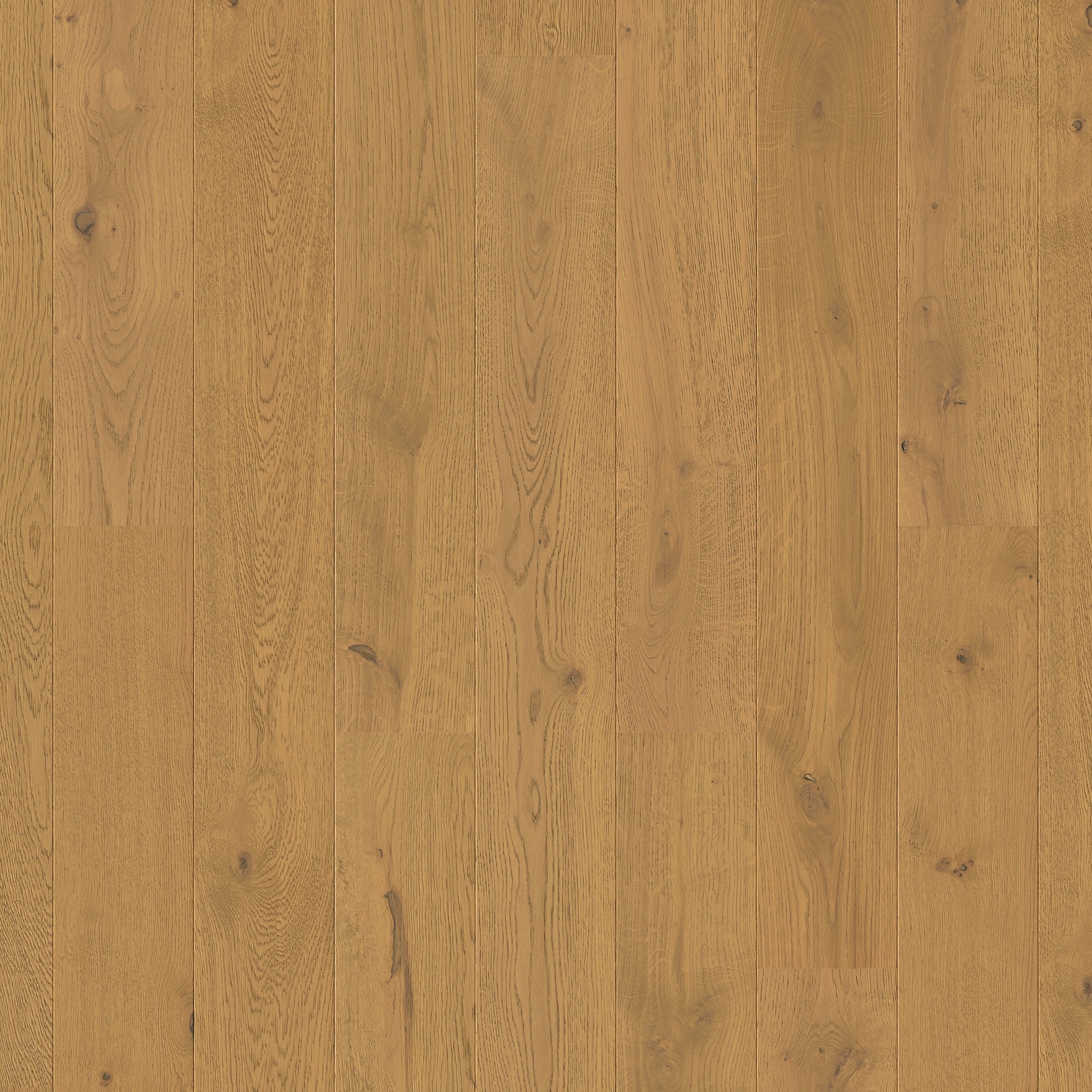 Quick-Step Parquet Amato AMT7446 Chêne châtaigne foncé extra mat 145x1820x13mm
