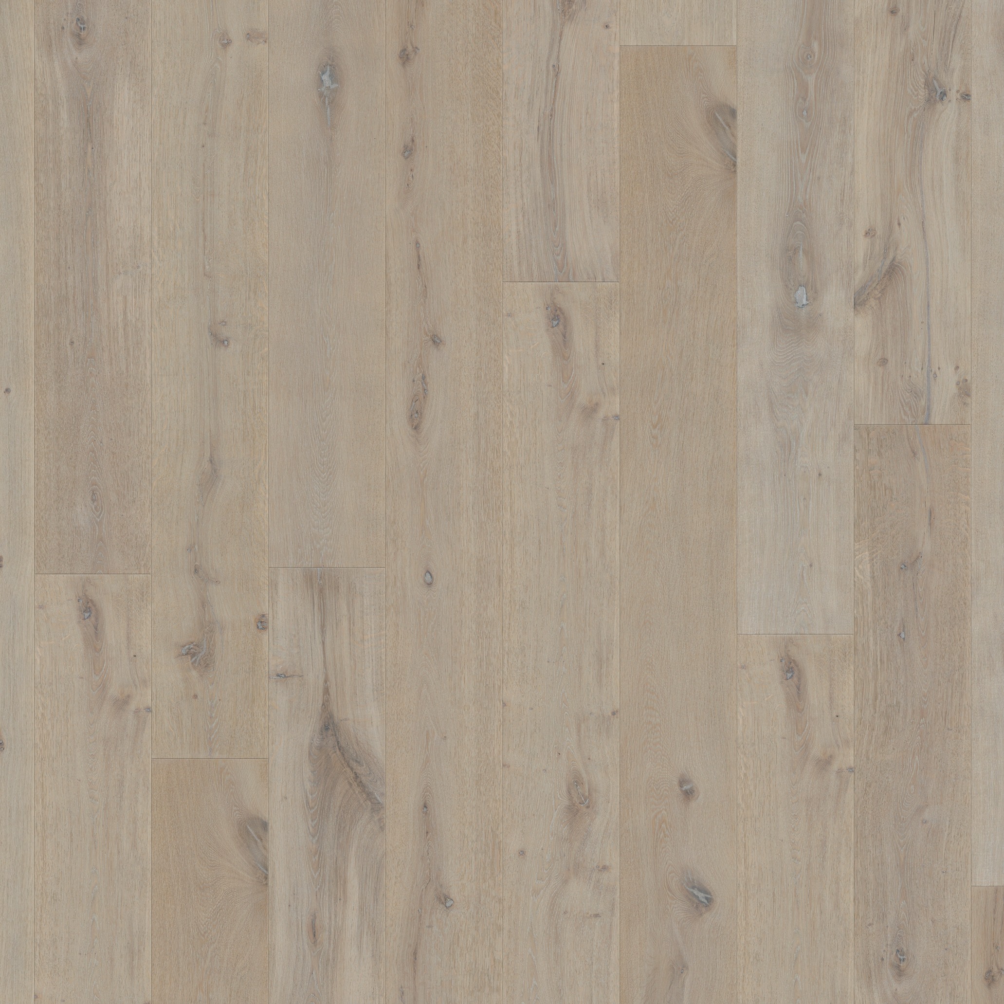Quick-Step Parket Massimo MAS3563S Winterstorm eik geolied extra mat 260x2200x13.5mm