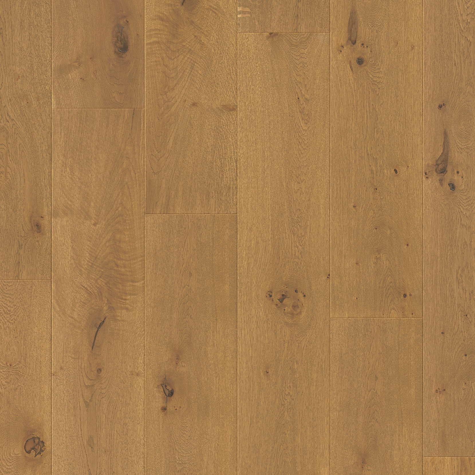 Quick-Step Parquet Cala CAL7447 Chêne châtaigne foncé extra mat 220x2200x13mm