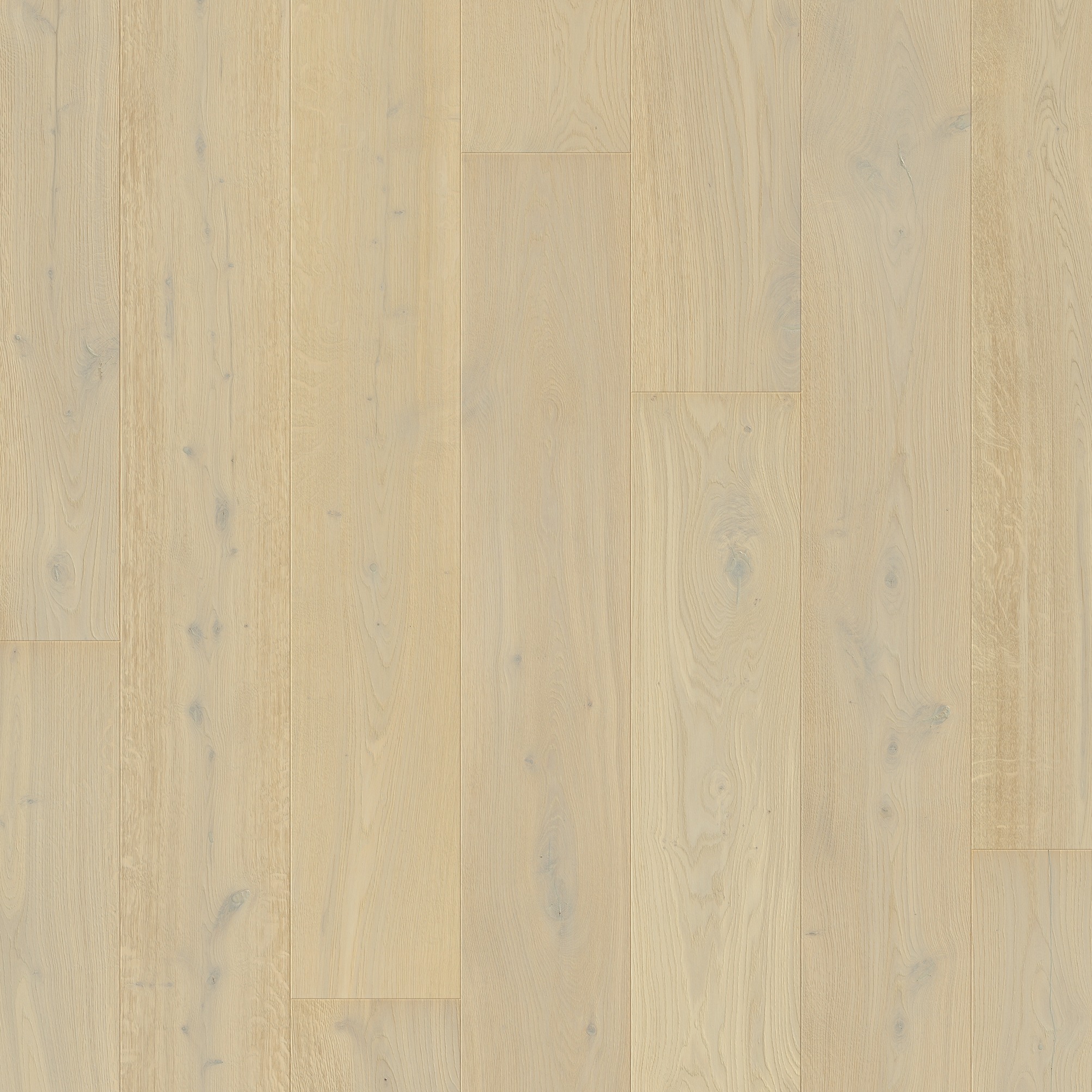 Quick-Step Parket Massimo MAS5102S Madeliefwitte eik extra mat 260x2200x13.5mm