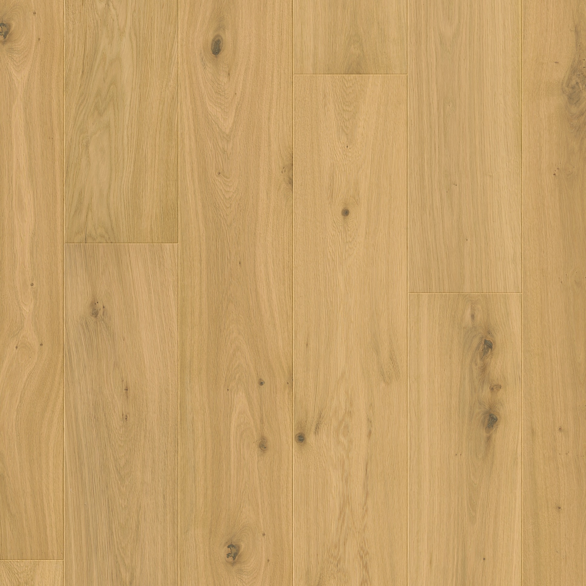 Quick-Step Parket Cala CAL5611 Pure eik extra mat 220x2200x13mm
