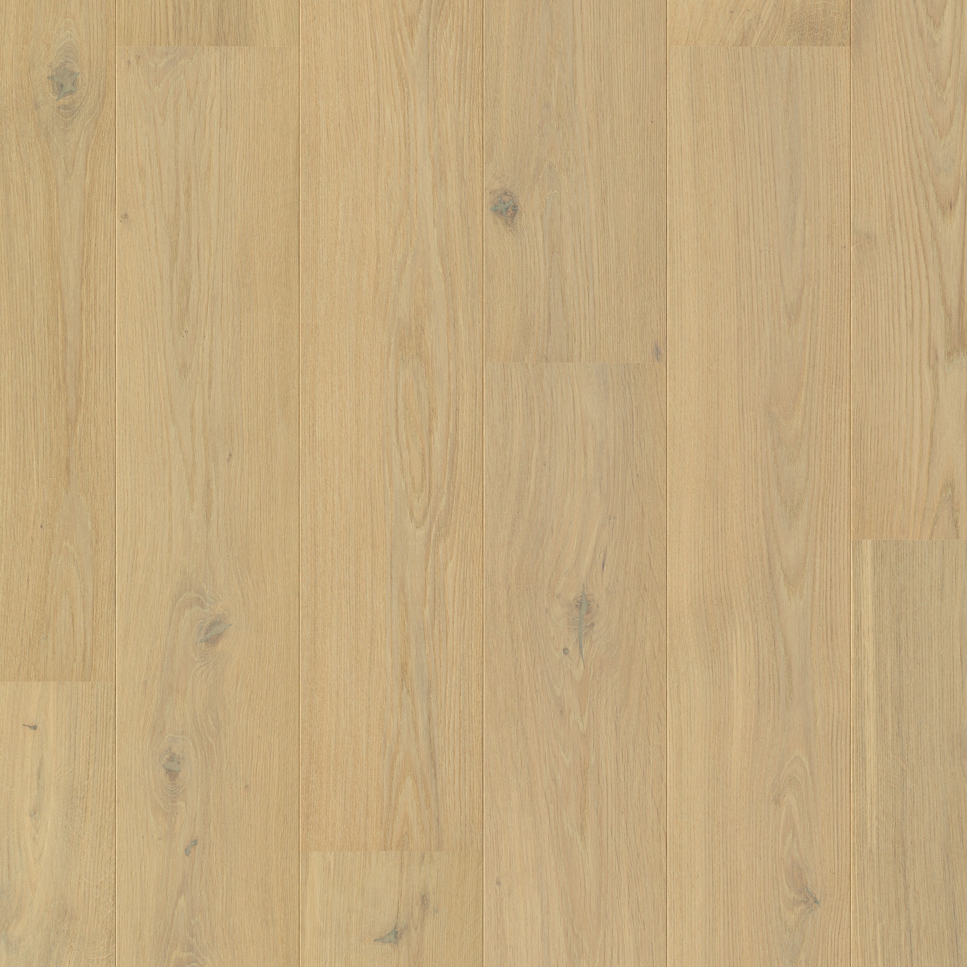 Quick-Step Parquet Cascada CASC6030 Chêne blanc perle extra mat 190x1820x13mm