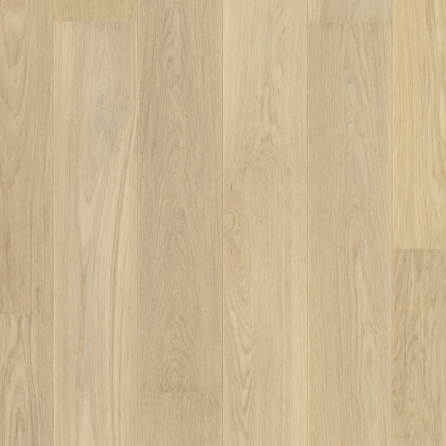 Quick-Step Parket Cascada CASC5106 Leliewitte eik extra mat nature 190x1820x13mm