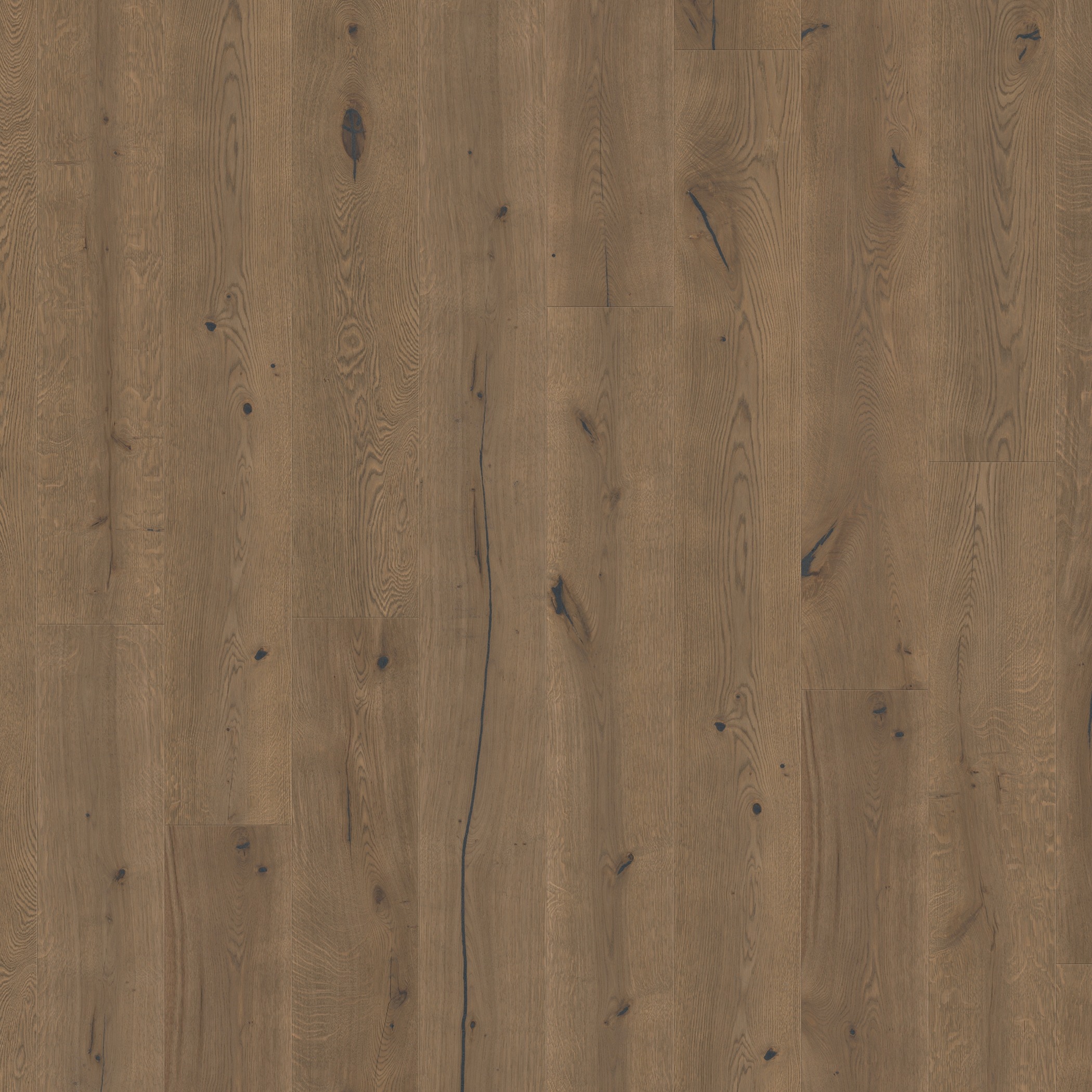 Quick-Step Parket Massimo MAS3564S Donkere chocolade eik geolied extra mat 260x2200x13.5mm