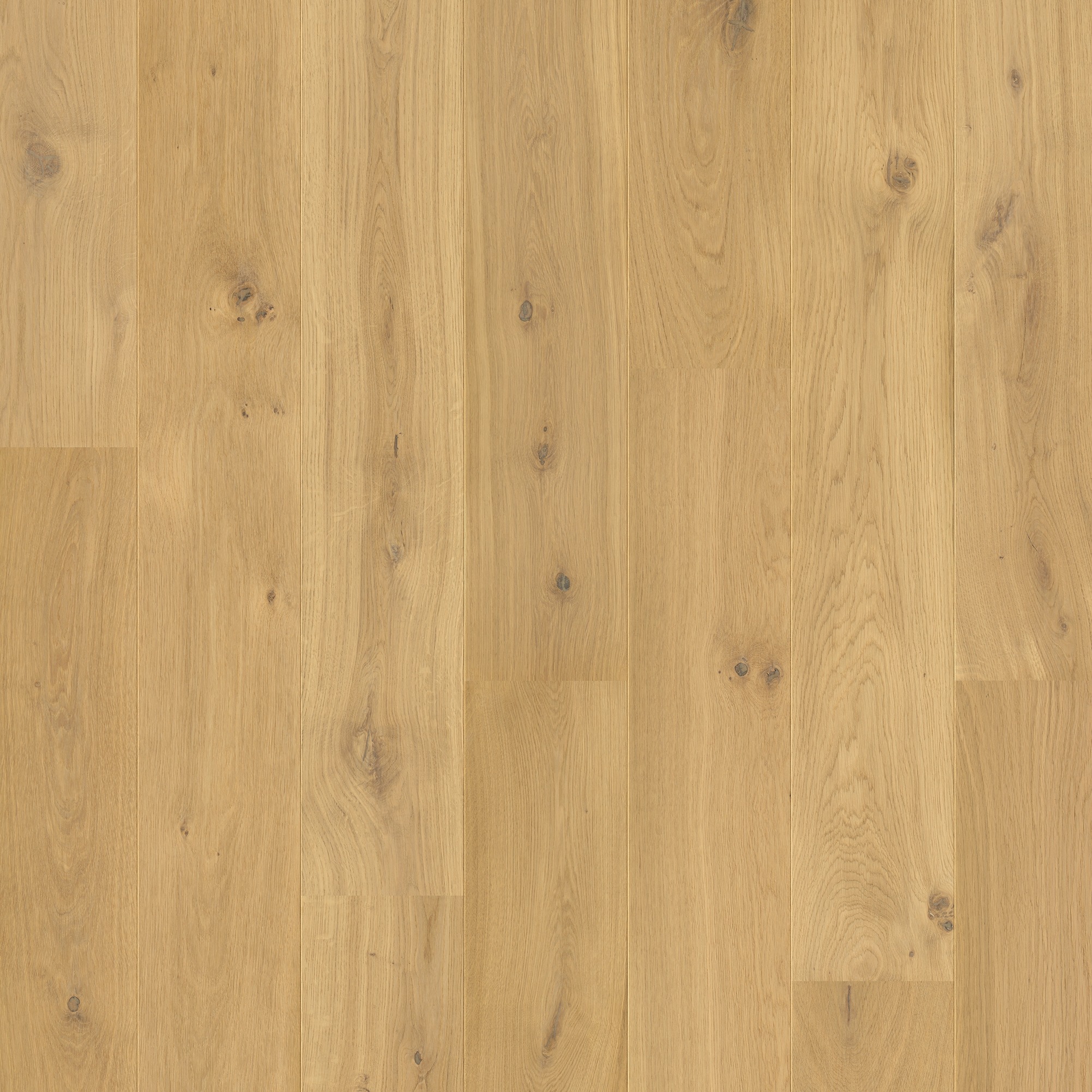 Quick-Step Parquet Palazzo PAL3100S Chêne pur extra mat 190x2200x13.5mm