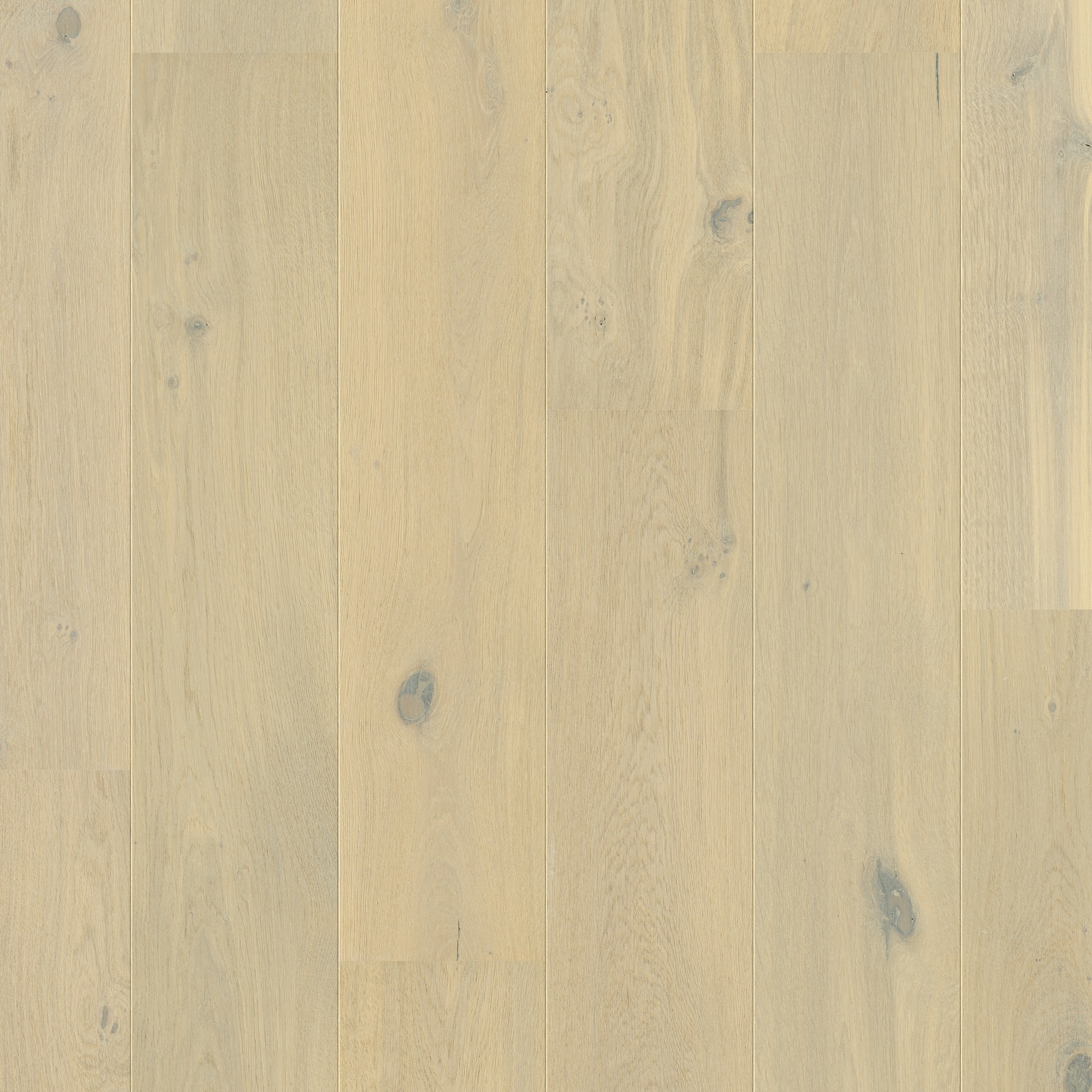 Quick-Step Parket Cascada CASC3854 Winterwoud eik extra mat marquant 190x1820x13mm