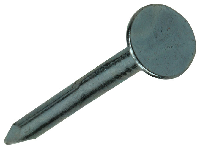 PLAFONDNAGEL STAAL VERZINKT 90GR 2,0X25MM