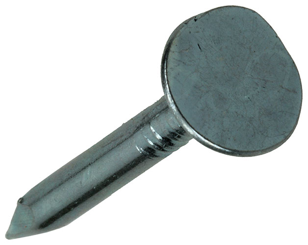 POINTE ARDOISES ACIER GALVANISE 100GR 3,0 X 30 MM