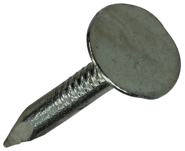 POINTE ARDOISES ZINGUEE 1000 GR 3,0 X 20 MM