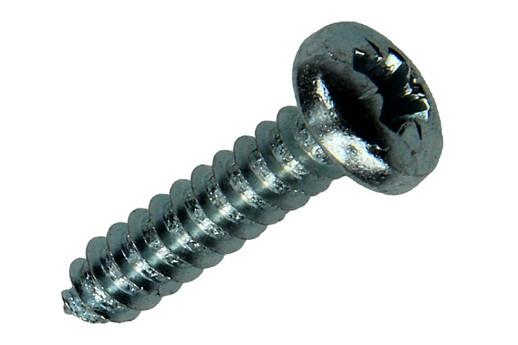 ZELFTAPPENDE SCHROEF, CILINDRISCHE KOP, VERZINKT 9 STUKS 5,5X25MM