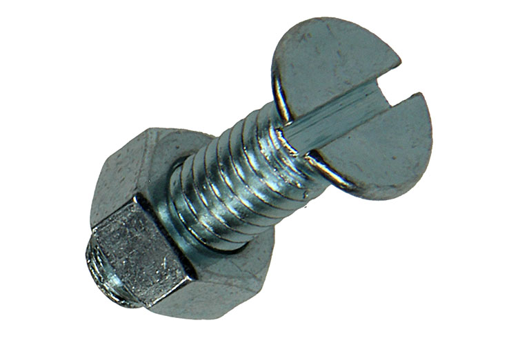 METAALSCHROEF VERZINKT KOP + MOER VERZINKT 10 STUKS M6X20MM