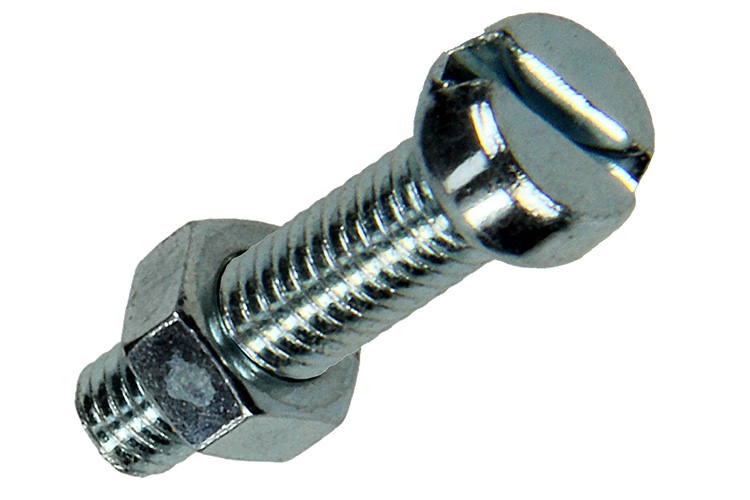 METAALSCHROEF CILINDRISCHE KOP + MOER VERZINKT 15 STUKS M5X20MM