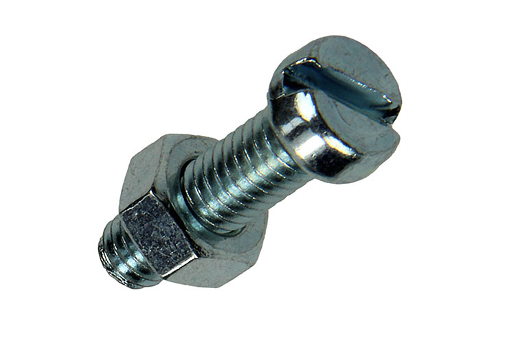 VIS A METAUX TC.+ECROU AC.ZING10 PC M6 X 20 MM