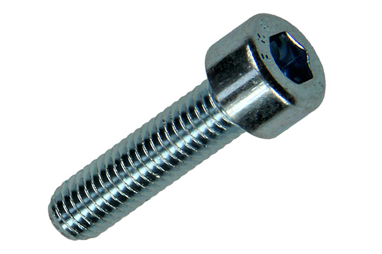 BINNENZESKANT BOUT CILINDRISCHE KOP VERZINKT 10 STUKS M5X20MM