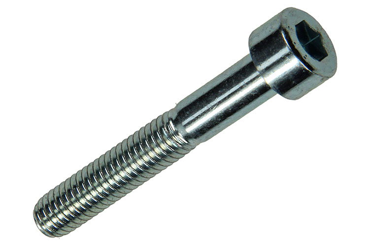 BINNENZESKANT BOUT CILINDRISCHE KOP VERZINKT 5 STUKS M6X40MM