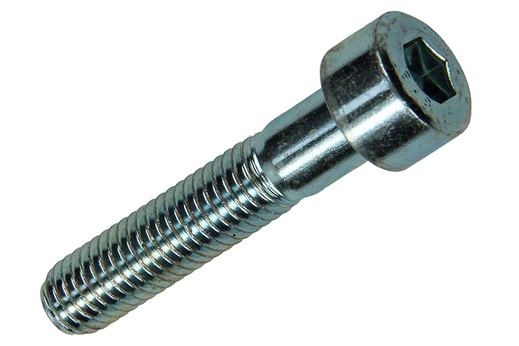 BINNENZESKANT BOUT CILINDRISCHE KOP VERZINKT 3 STUKS M8X40MM