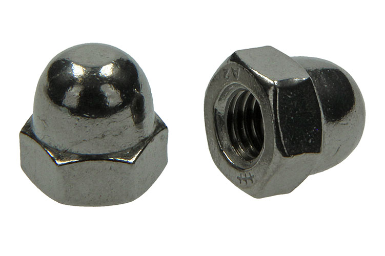 ZESKANT DOPMOER INOX A2 2 STUKS M10