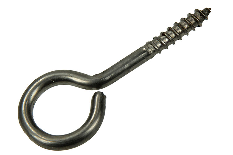 SCHROEFOOG RVS 2 STUKS 5,0X40MM