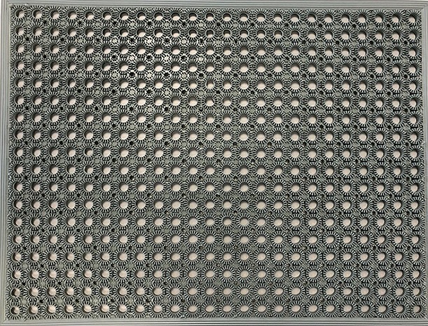 Paillasson extérieur effet grattant 48x62cm Eucalyptus