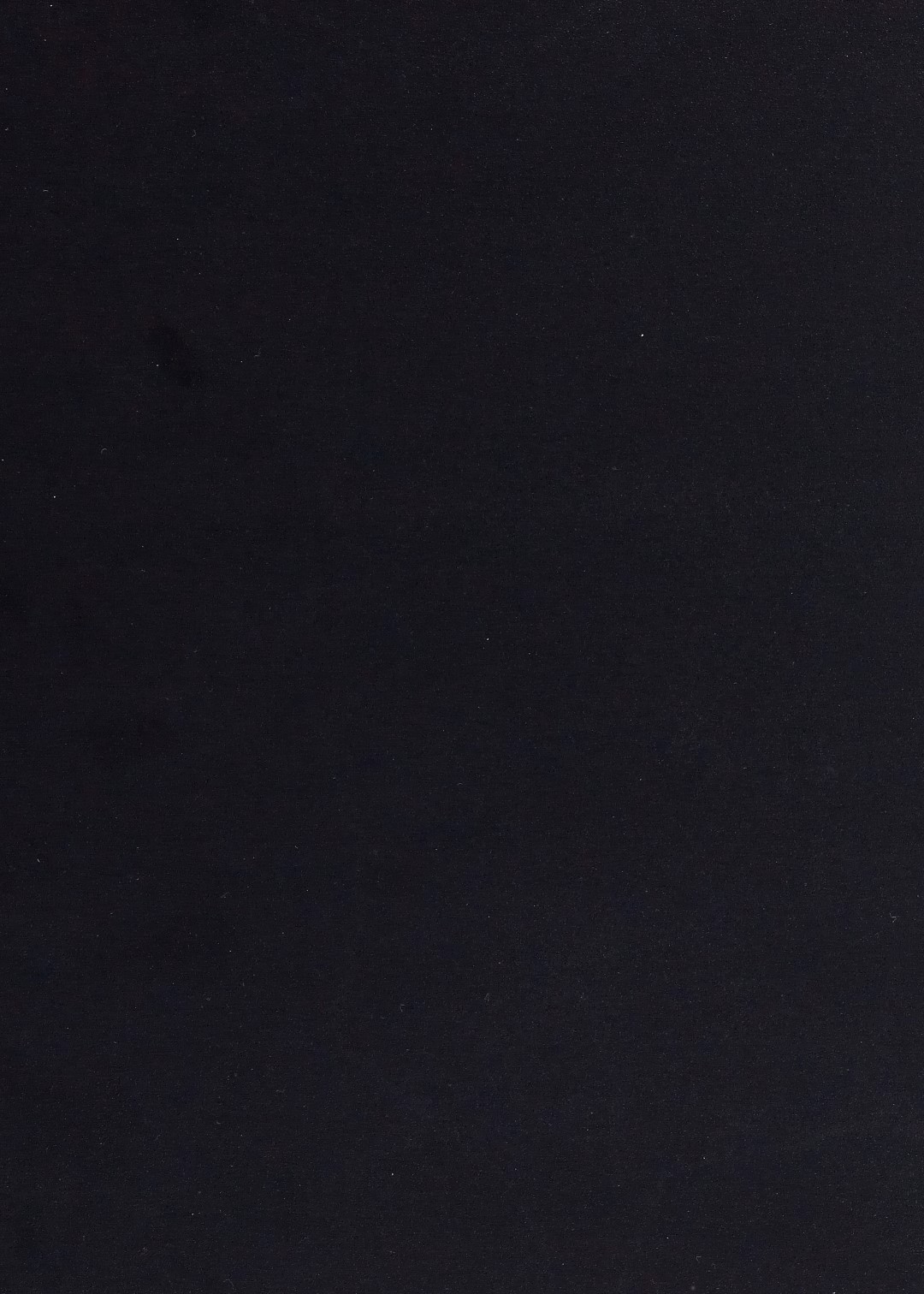 Cando panneau de meuble noir 250x40cm - 18mm (PEFC)