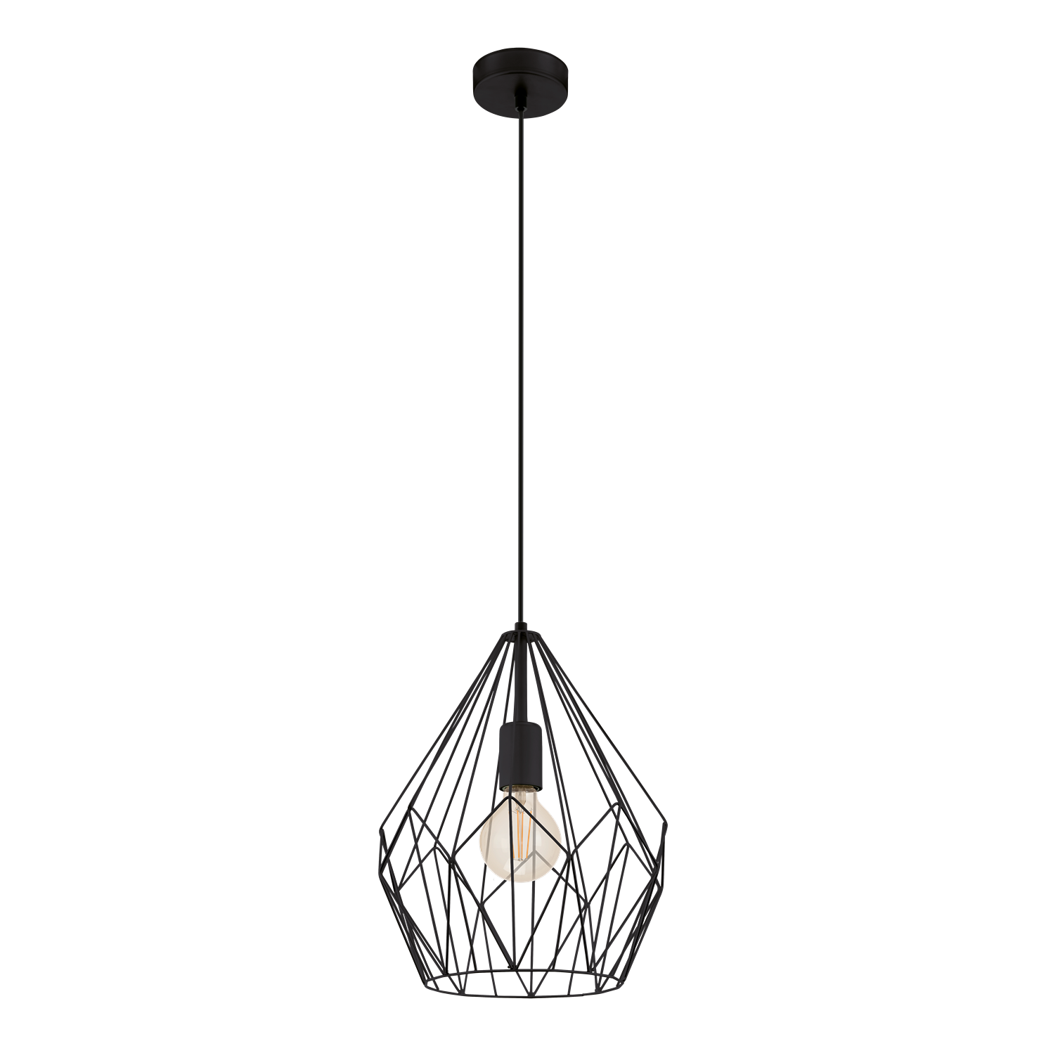 Carlton hanglamp 1x60W staal zwart