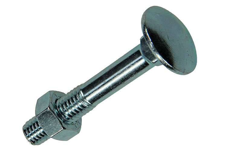 BOULON TRCC + ECROU 100 PC 8 X 50 MM