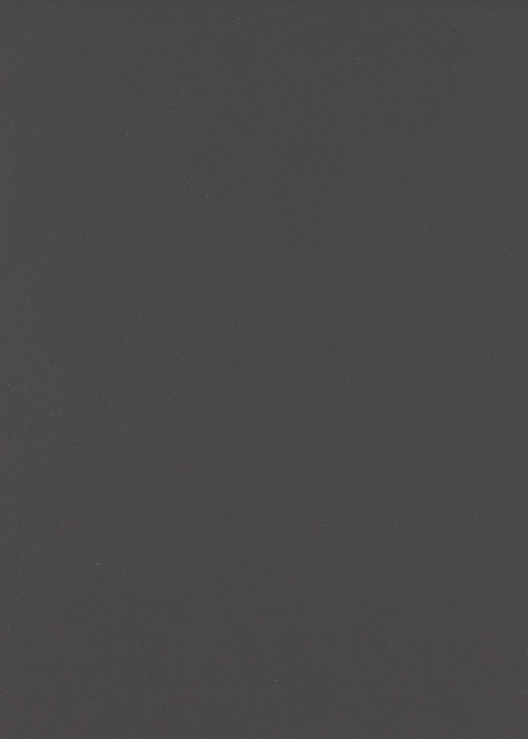 Panneau de meuble QUARTZ oud81 cst 250 x 40cm - 18mm