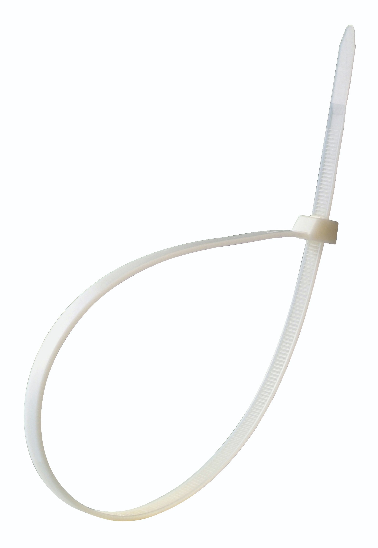 COLLIER 350X4.8MM 100PC BLANC