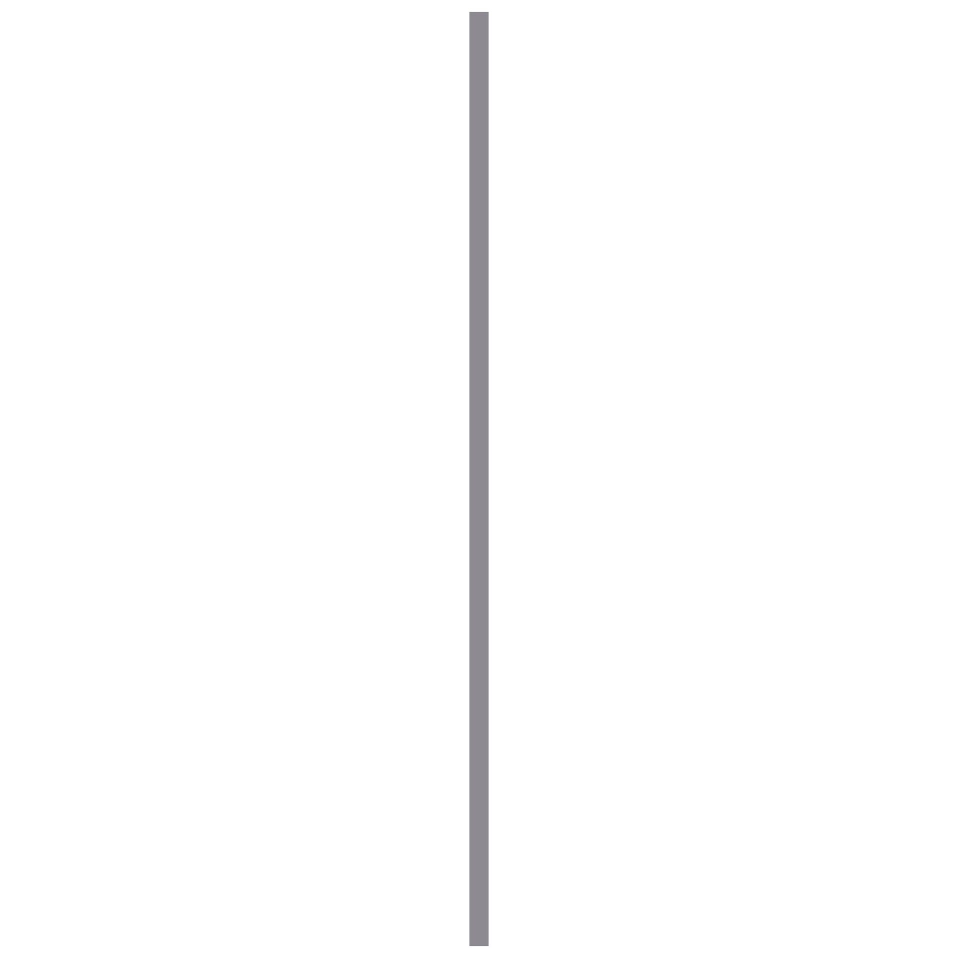 Hoekprofiel geanodiseerd aluminium naturel 20x20mm 100cm