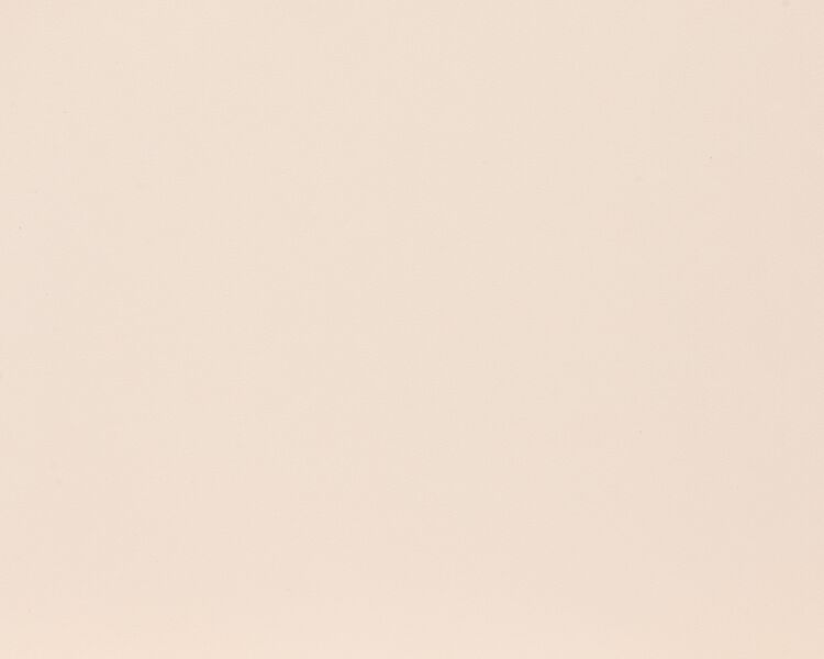 Cando meubelpaneel biscuit 120x40cm - 18mm (PEFC)